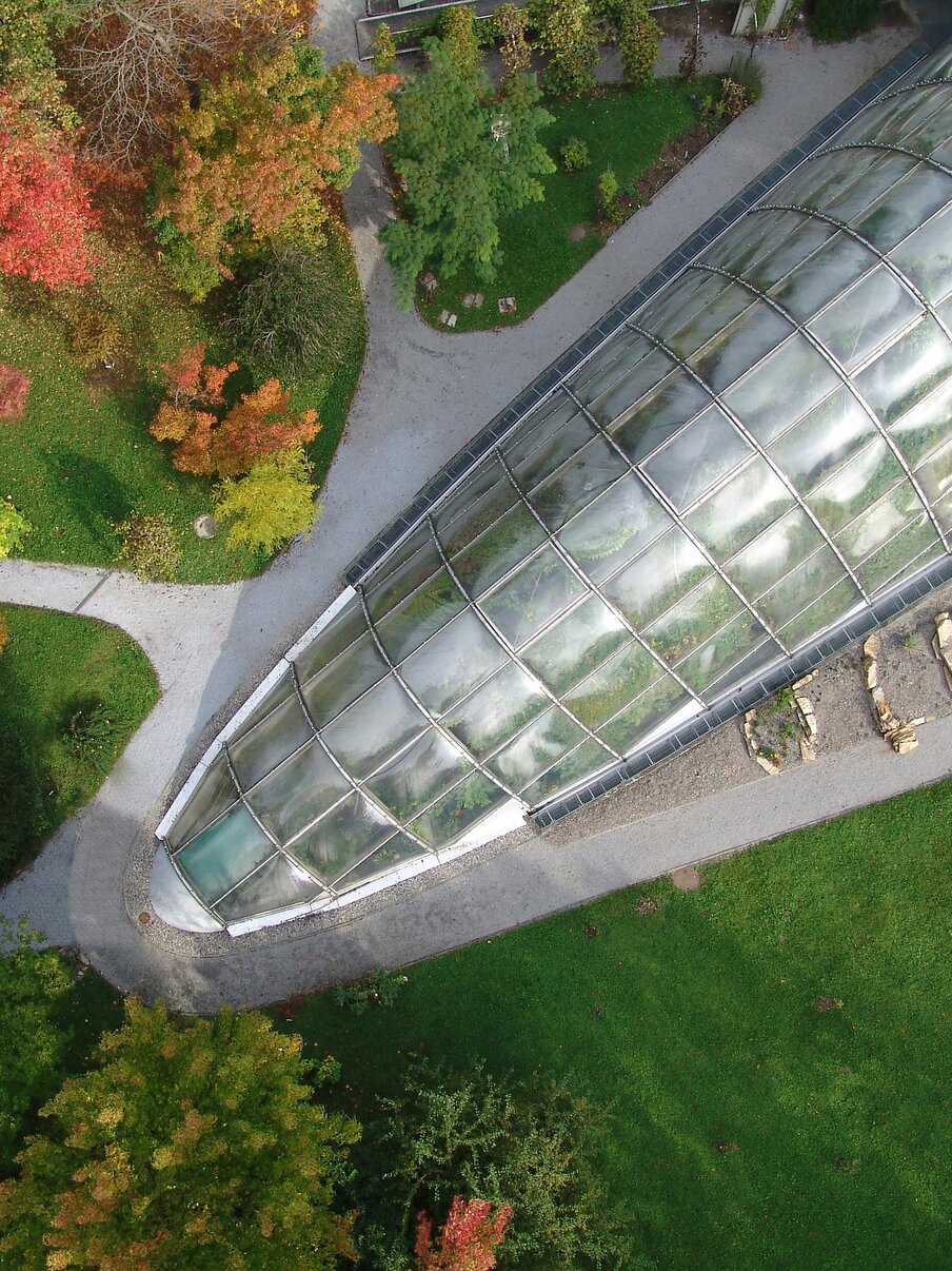 Botanischer Garten Graz Infos, Öffnungszeiten & Eintritt